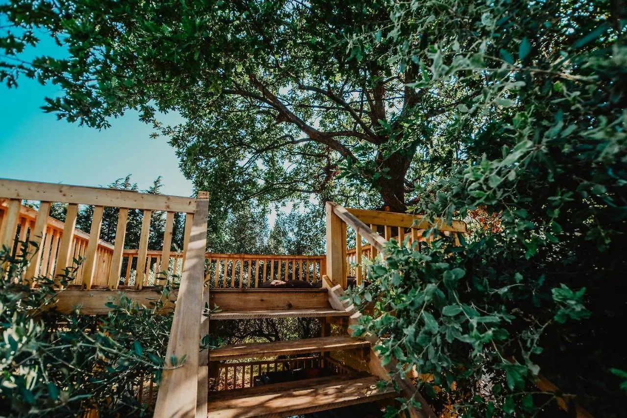 Apartment Green House Peroj, Wi-Fi, Free Parking, Garden, Hot Tube, Pet Friendly Croatia